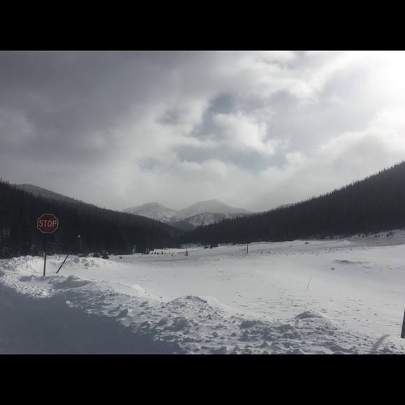 Meet your Posher, Lisa - Picture 4 of 10